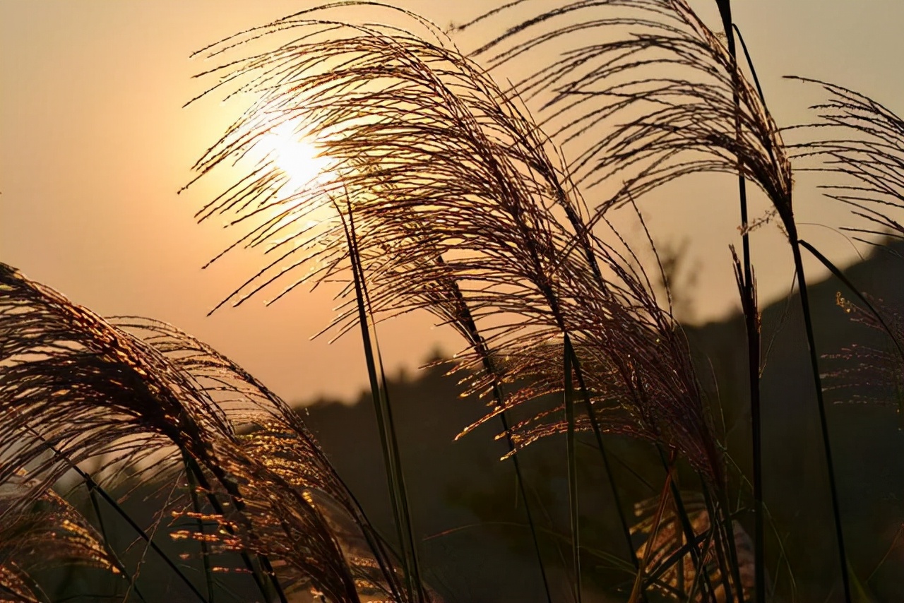 年终岁末，又是一年新春到，人们为什么把正月初一叫春节？