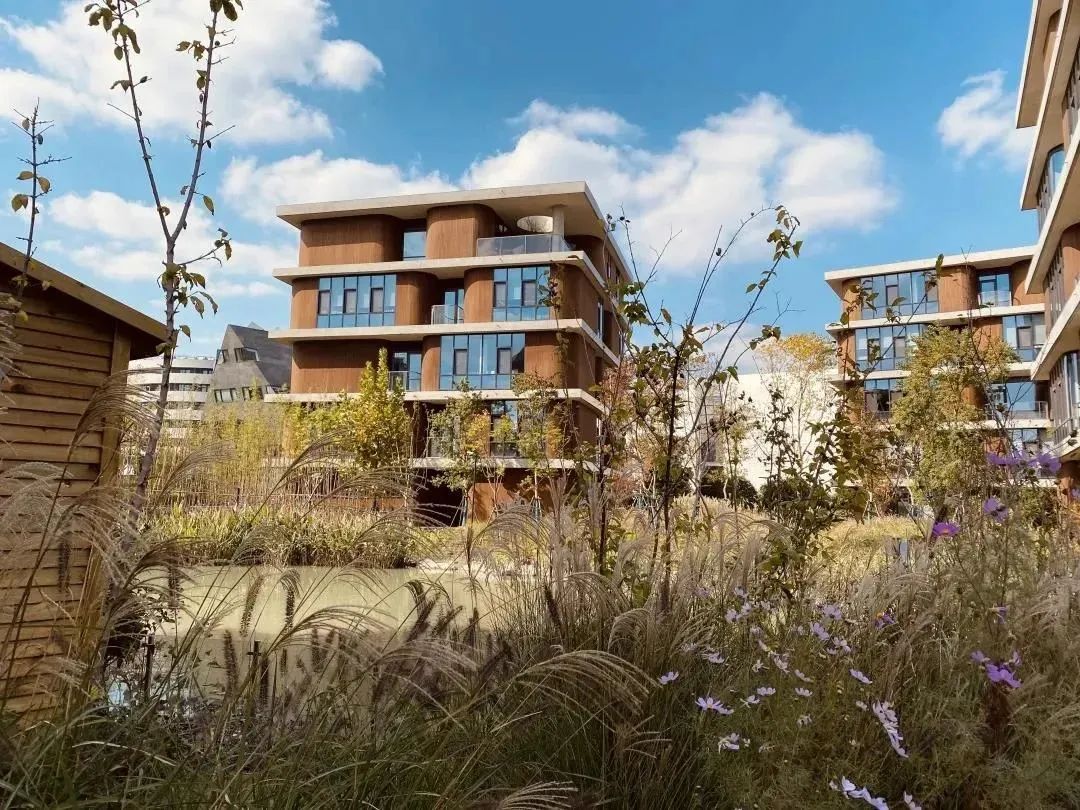 打动人心的校园空间，每个场景都是教育的一部分