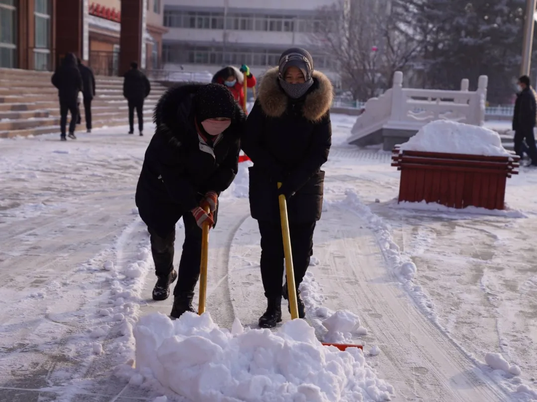 临潭：干部群众齐上阵 清扫积雪暖民心