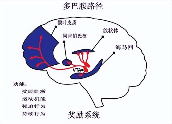 现在的孩子们真的快乐吗(这个暑假，你的孩子真的快乐吗？千万别让一部手机，毁了一个孩子)