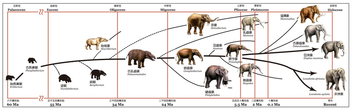 驴头狼(相传神农架出现“驴头狼”，偷吃家畜，拖走小孩，疑似史前生物？)