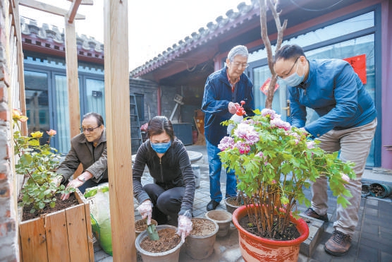 北京老城不能再拆！街区渐进式更新，让老城焕发活力