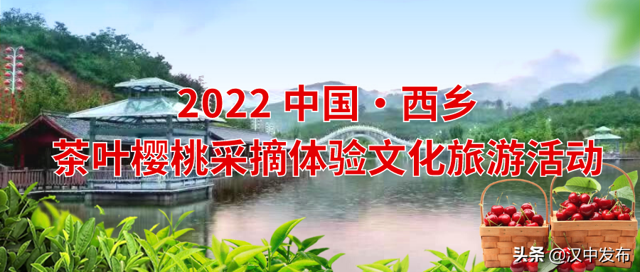 倒計時2天！2022西鄉(xiāng)茶葉櫻桃采摘體驗文化旅游活動即將啟幕