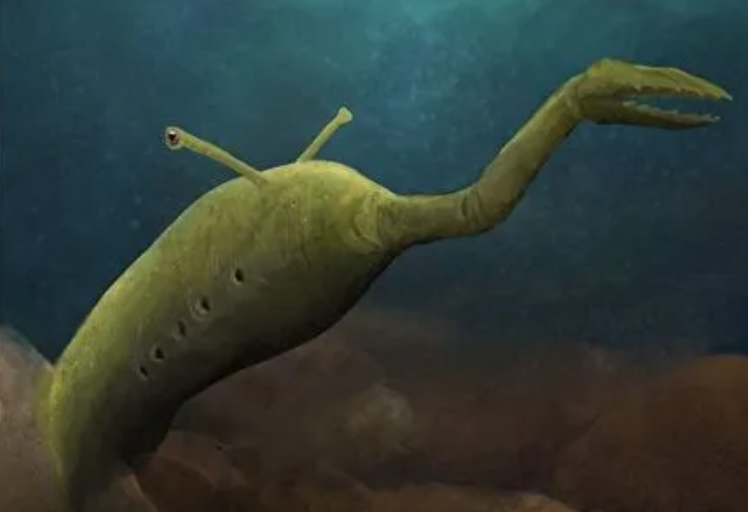 3����ǰ��һ�š���˿������Ƕ��ʯ���У��ҿ�һ��ʷǰ���۷�ʱ��