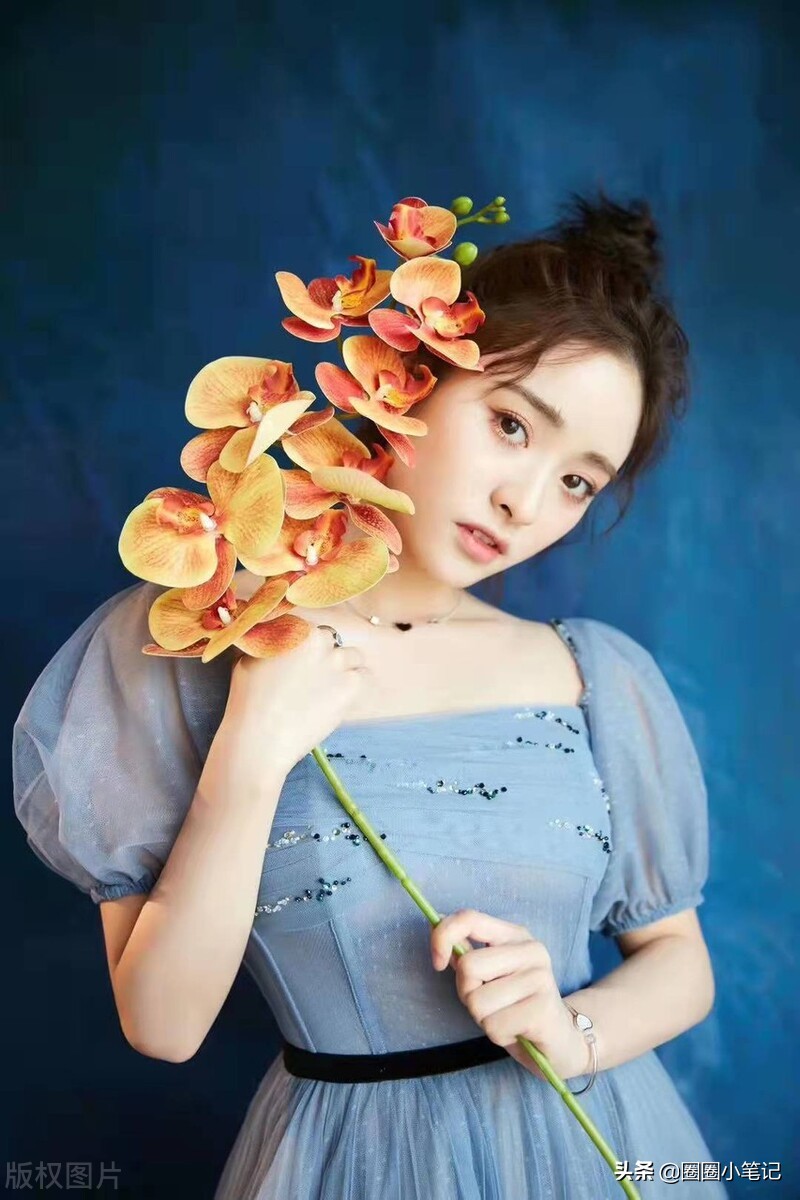 今日娱乐看点：陈数 赵丽颖 伦伦 沈月 王凯 袁冰妍