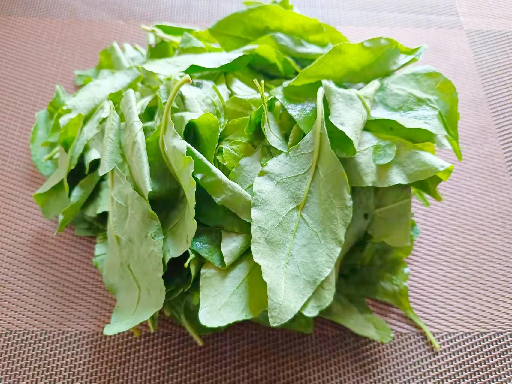 春天不要光给孩子吃鱼吃虾,试试这道枸杞叶汤,有肉有菜真解馋