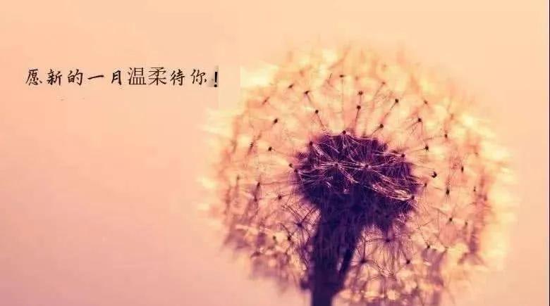 祝福朋友的话语 暖心简短（精选71句）图片