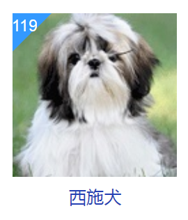 这几种狗狗，或许智商不太高，但长相没话说