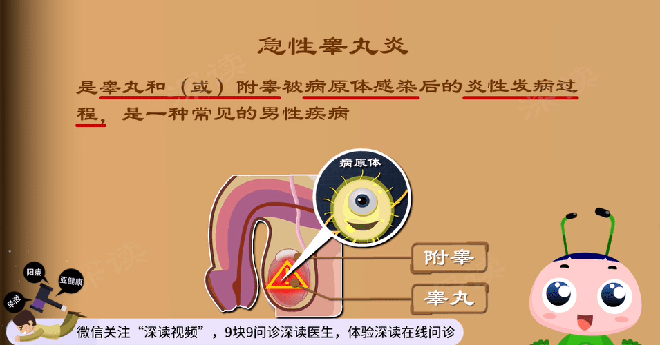 男人的炎症 男性图片