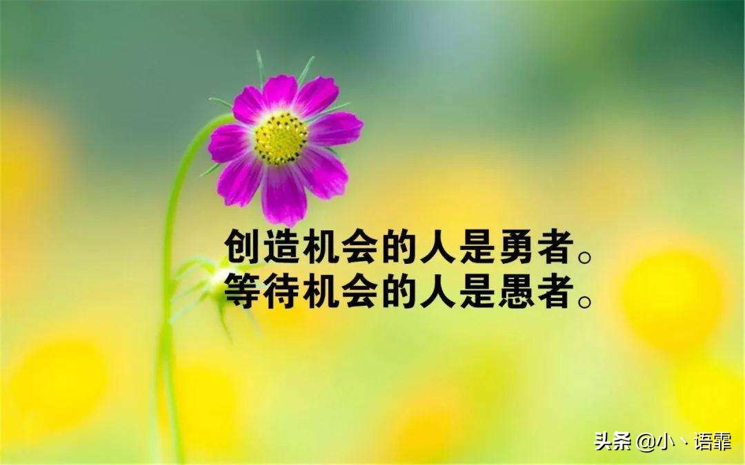 不抱怨励志语录正能量