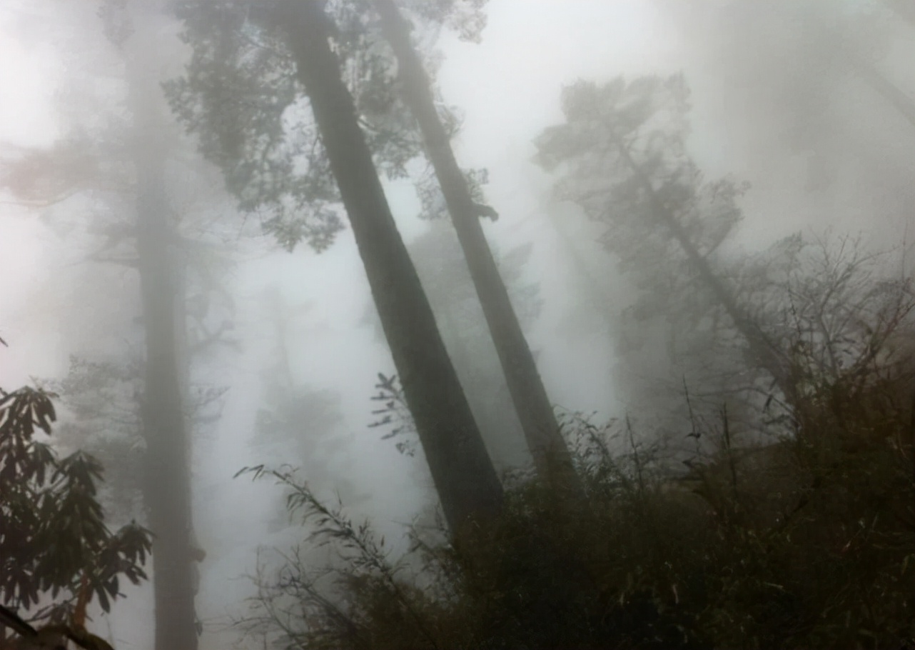 盘点危险程度高的七个地方，堪称旅游禁区，去过的就算老司机