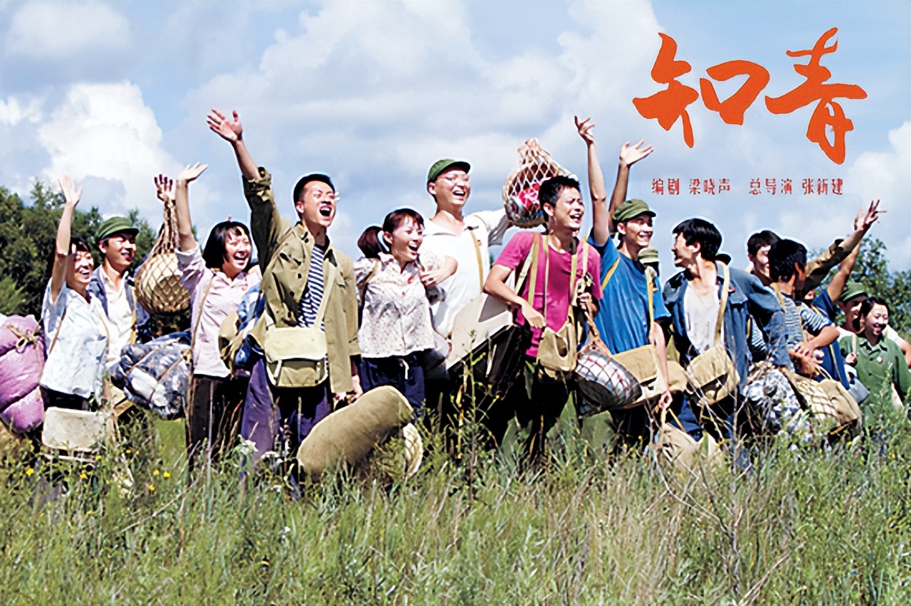 设计培训到兄弟连（梁晓声）