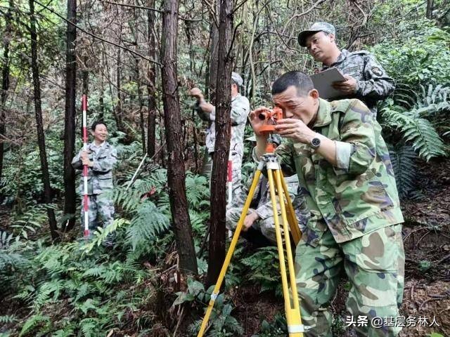 林权类不动产登记业务问答手册（二）林权类不动产地籍调查
