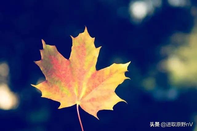 心语：临近退休的的内心感悟