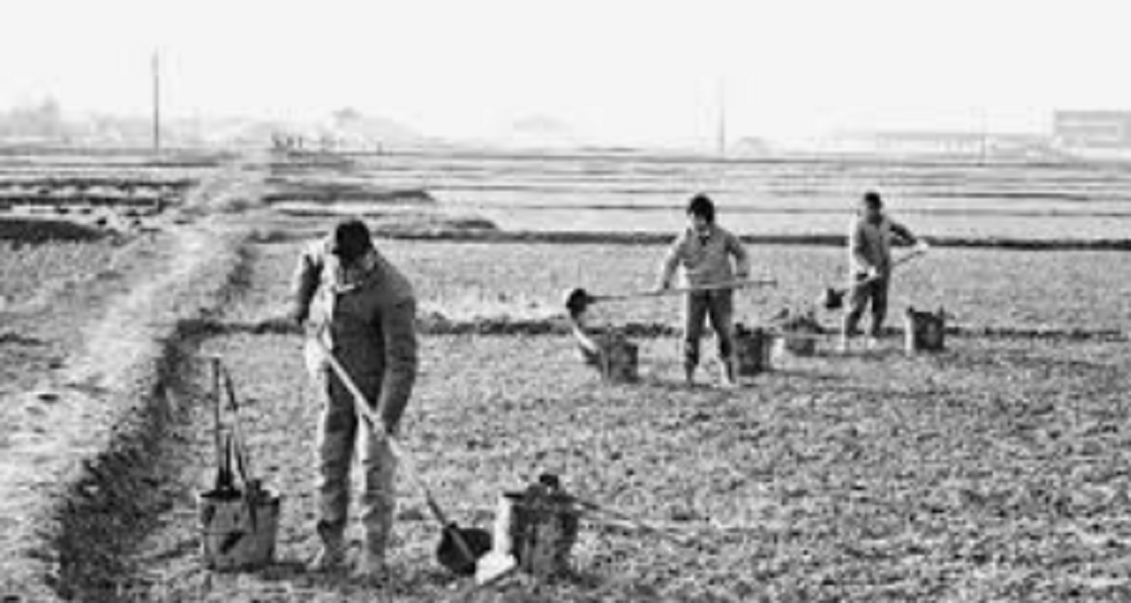 女贪官汤兰英落马记：贪污4万余包养7个情夫，终被挚爱举报