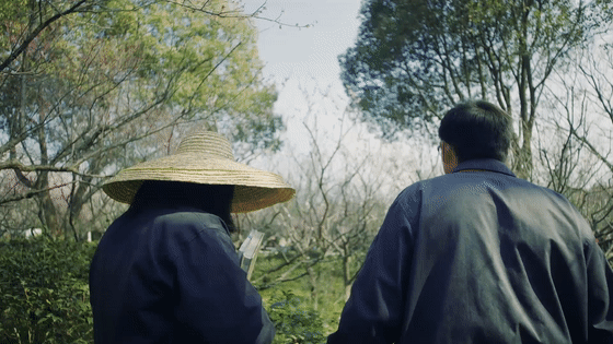 看完这篇文章，终于可以说一句：你好，南京的春天