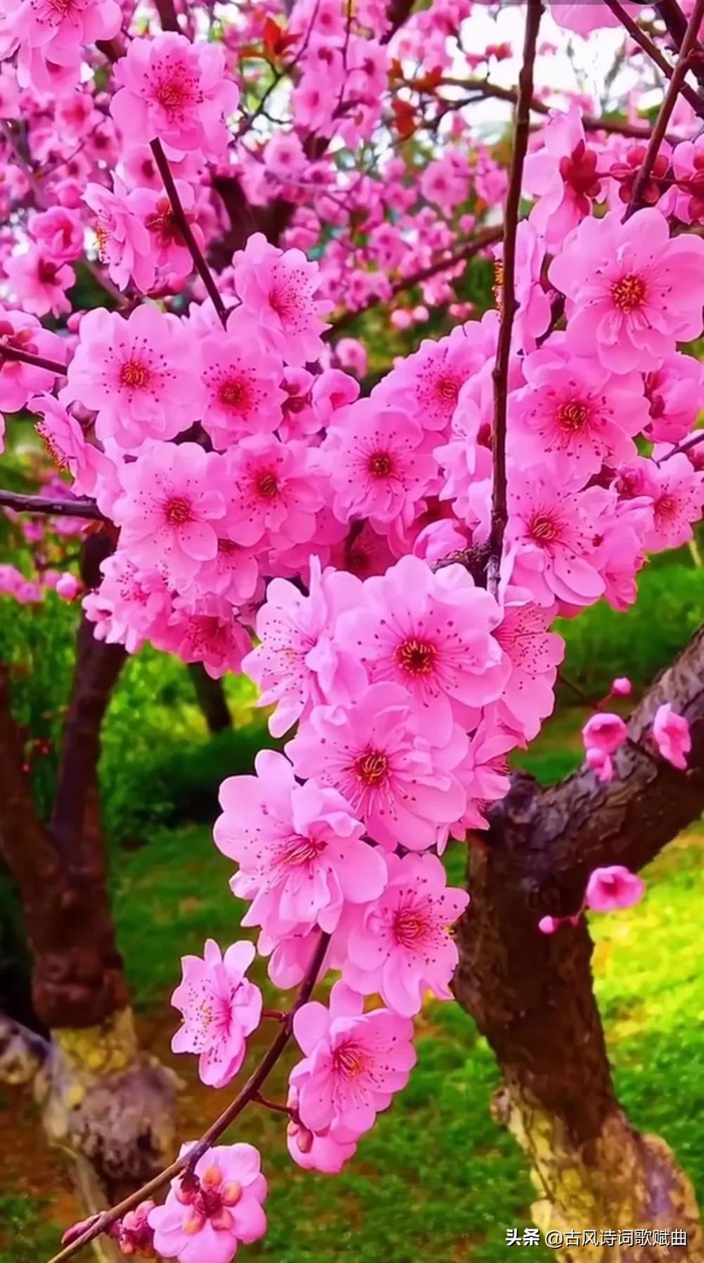 100句唯美而又温暖人心的句子，简短文艺，直抵心灵