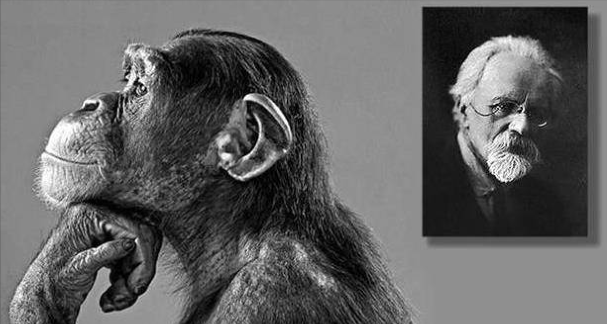 苏联的科学家招募了5位年轻女性，进行了大猩猩的子孙实验，结果怎么样。