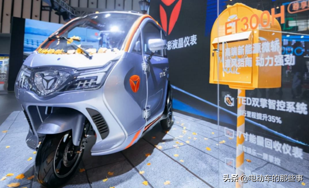 第一款:雅迪et300d