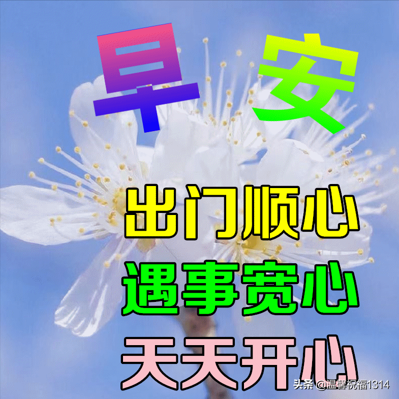 6月7日最新早上好日常祝福语大全，早晨好日常问候语录新版