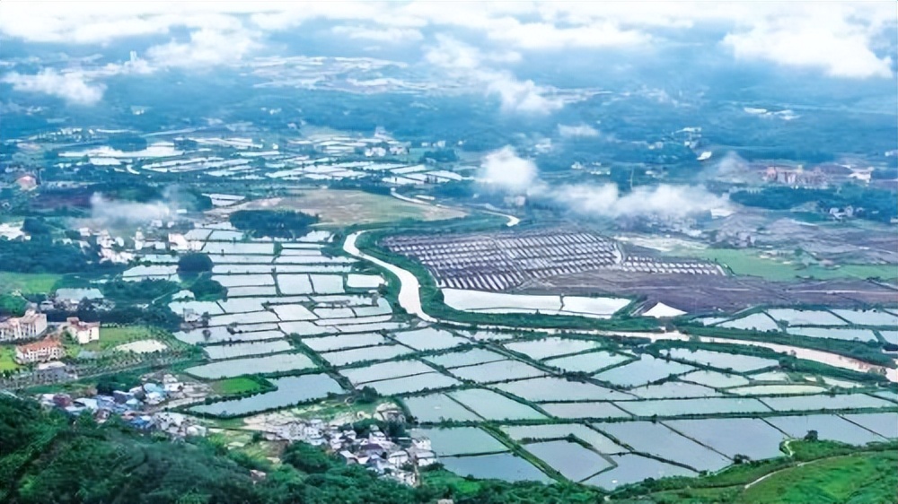 农业跨周期调节：基本要义、重点任务与策略选择