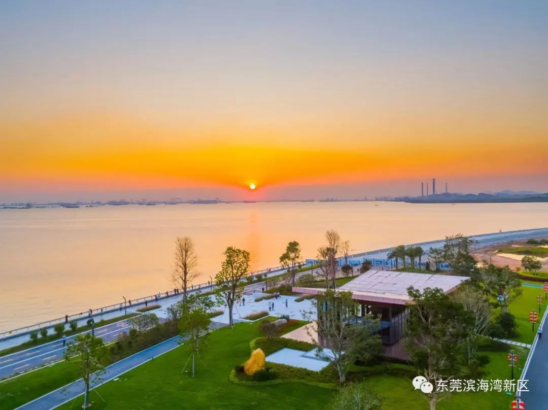 东莞这座绝美海景大桥来了，预计下个月通车