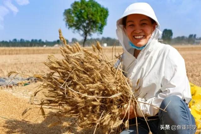 俗语“不怕七月十五鬼，最怕五月端午水”，“端午水”有啥可怕的