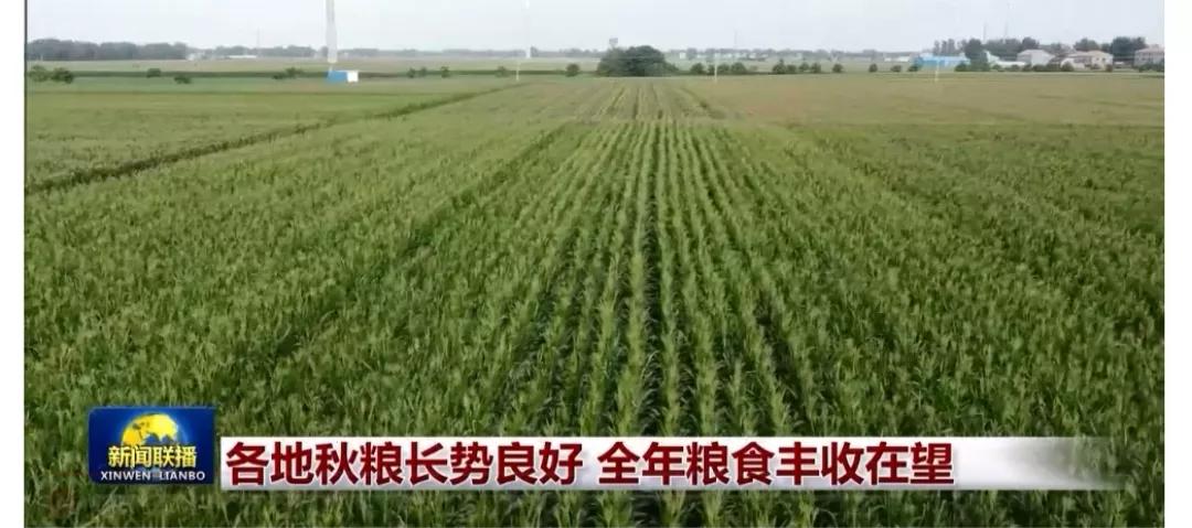 《悯农二首》诗词赏析｜读后感