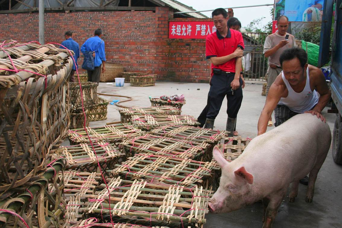 12月6日，猪价窄幅波动，供销势均力敌，1个重要变化，拐点浮现