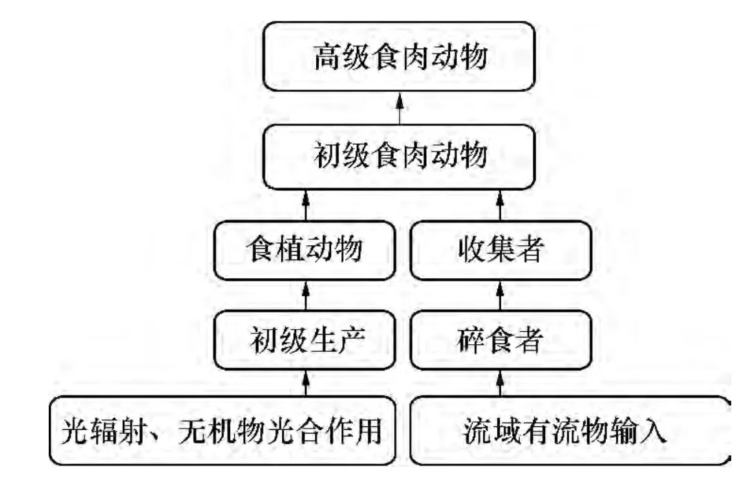 知识分享 | 水生态系统的五大生态要素特性