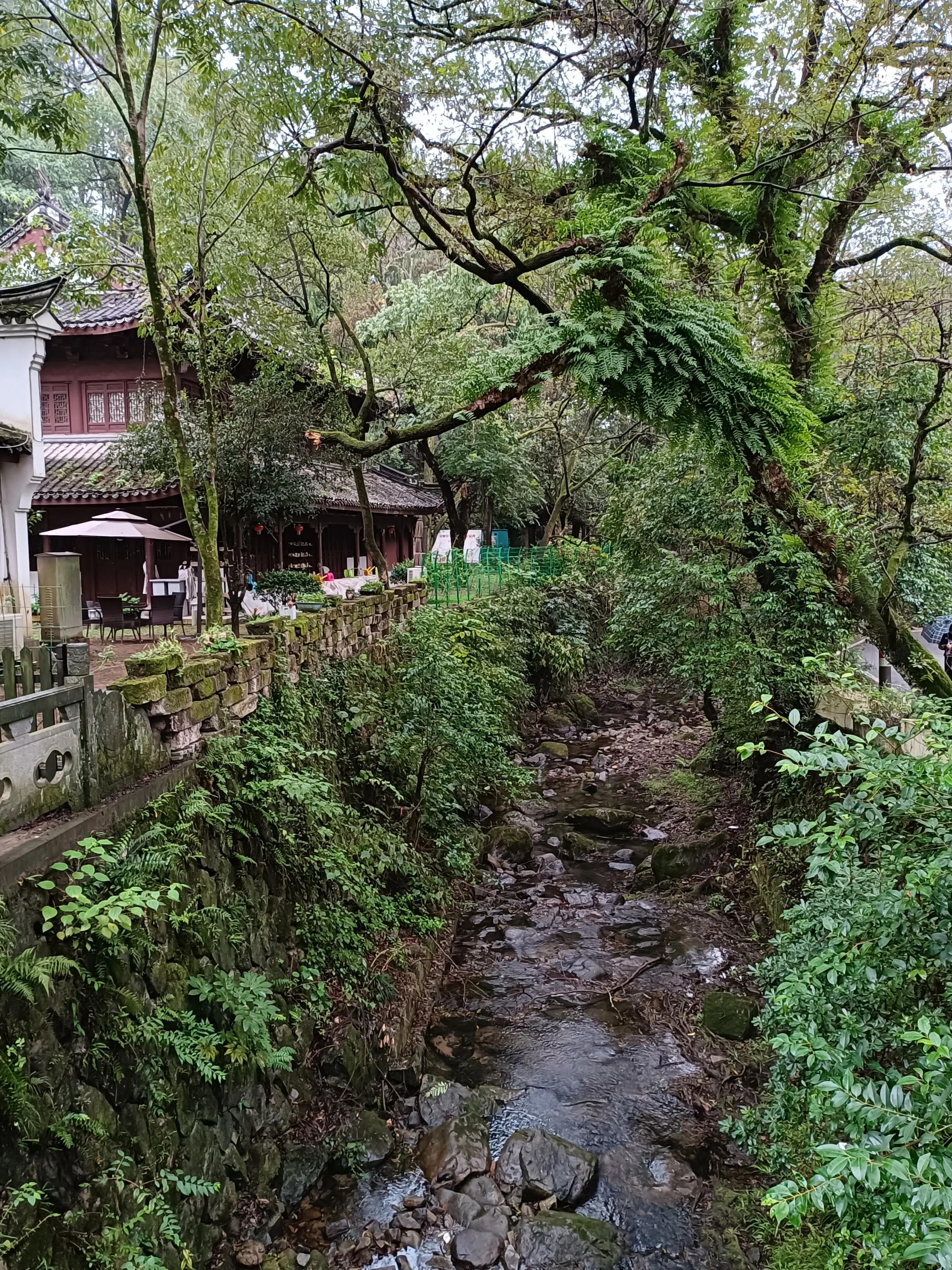 行到水穷处，坐看云起时一一雨游白云山