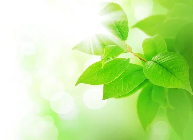 阳光正好，清风徐来