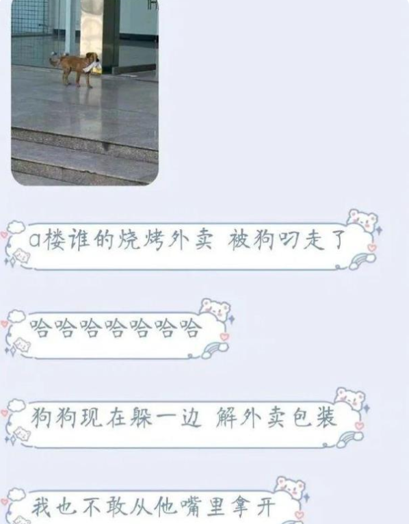 大学“表白墙”翻车现场，爱情表白却变成段子，看后让人忍俊不禁