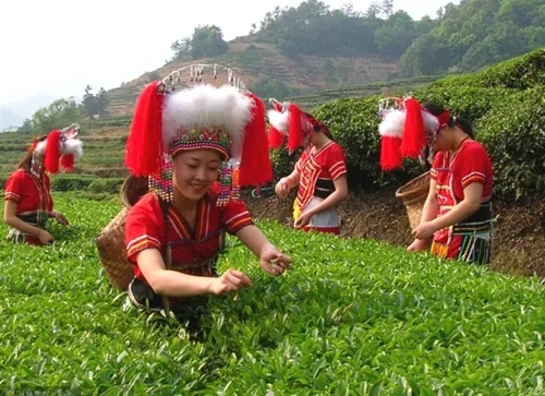 華夏風範丨寶島臺灣的神秘民族——高山族