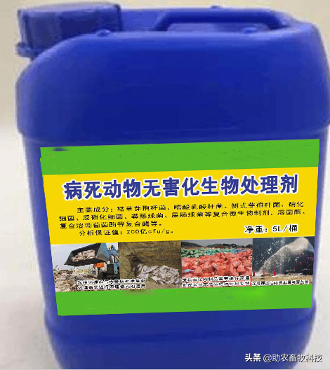 处理病死动物如何消除恶臭和加快分解
