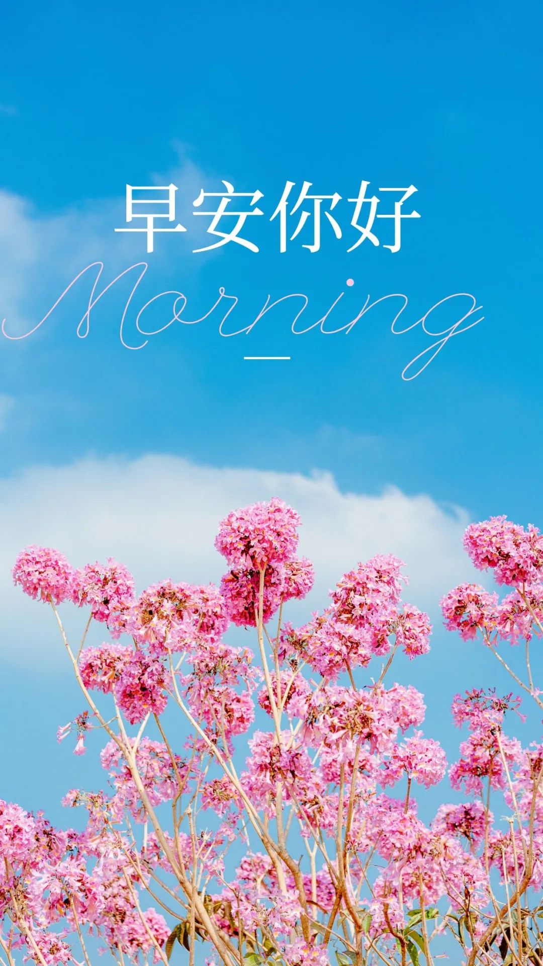 心情说说励志正能量的句子图片 _逛逛句子网