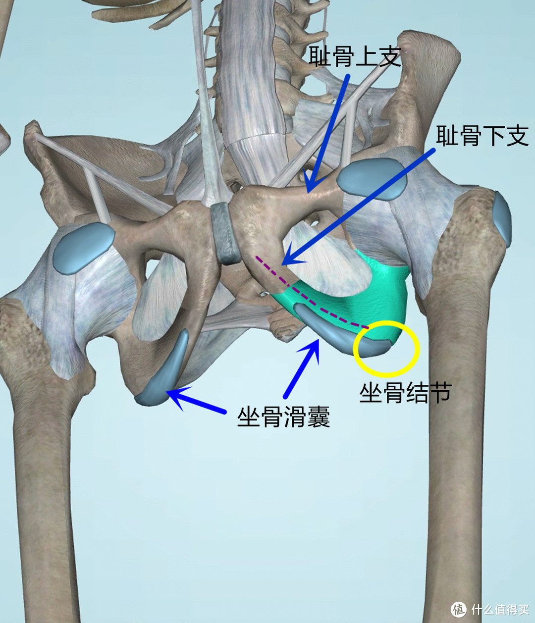 篮球鞋踩几把(关于自行车鞍座调整的一系列问题探讨)