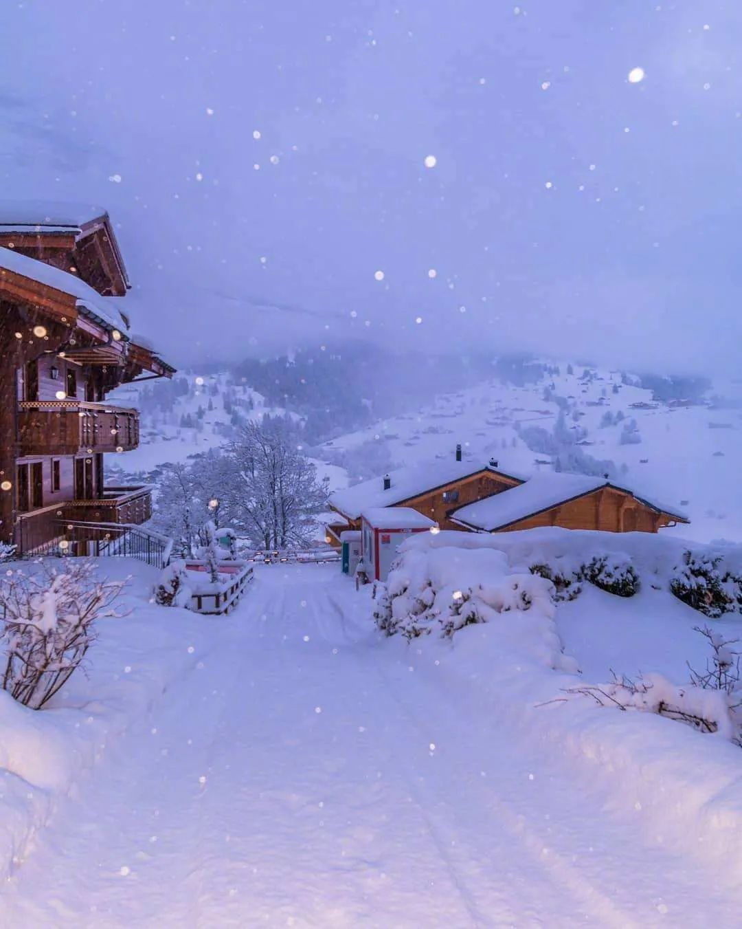 雪中对饮图片