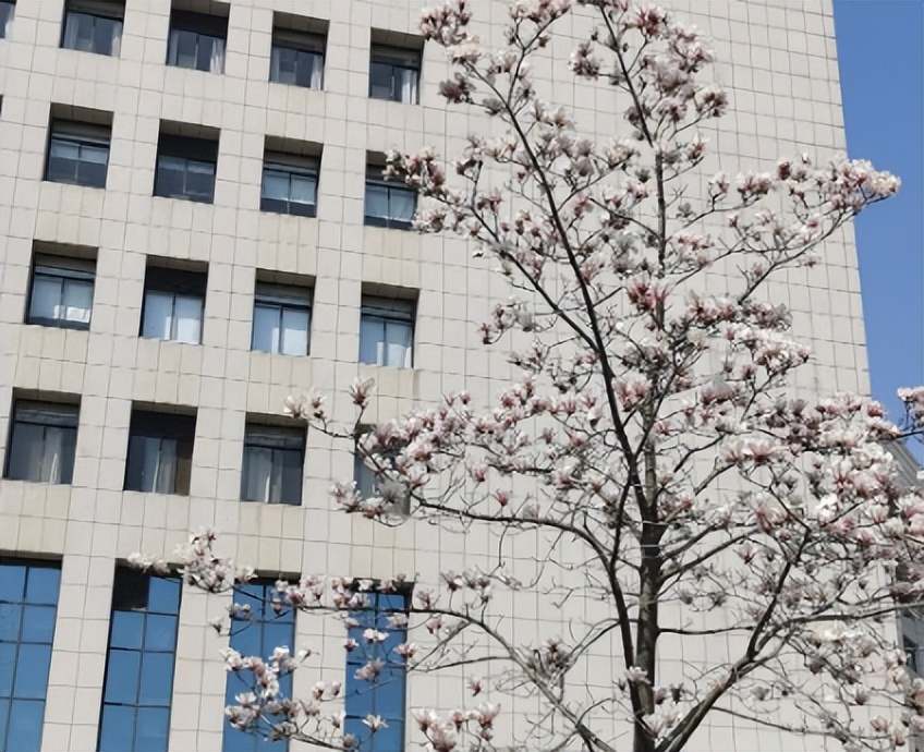 湖北超强学霸团：9人考上研究生，多人入职名企，年薪达20万