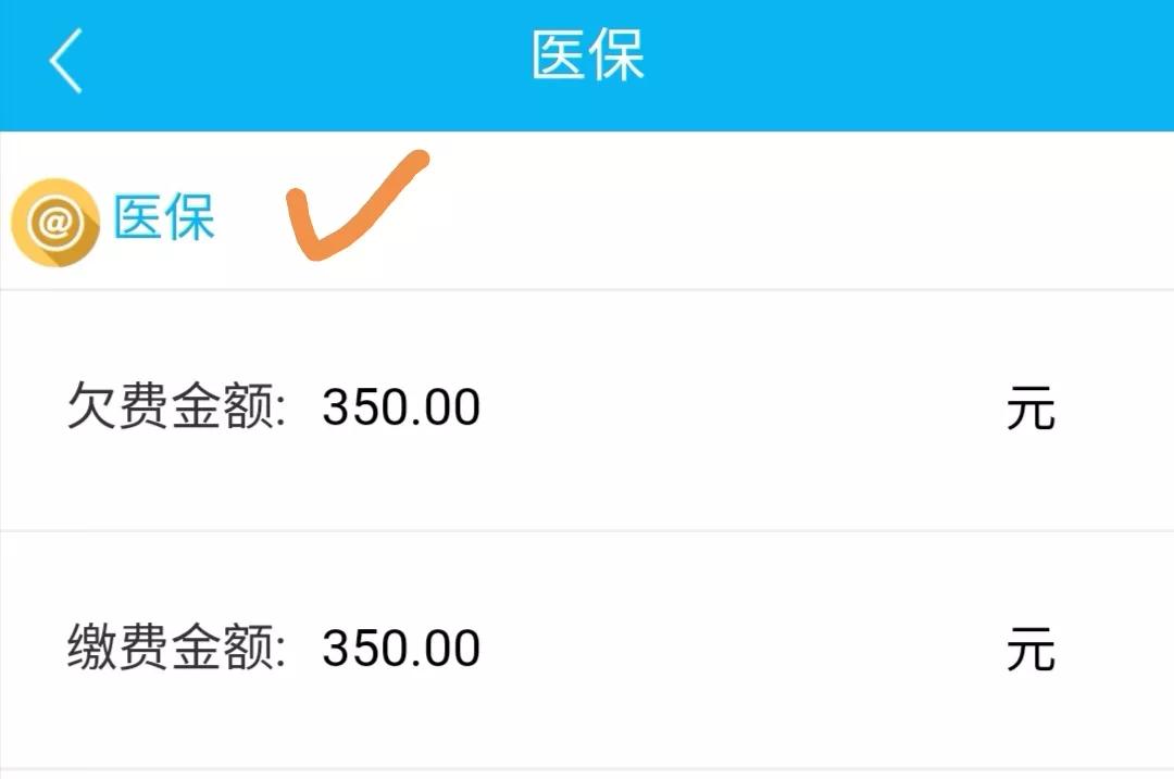 农村合作医疗网上缴费,农村合作医疗网上缴费怎么交2022