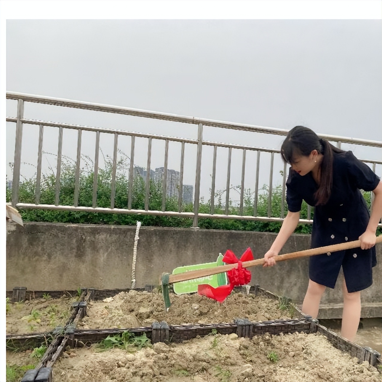 中和小学参加区教育发展中心综合实践教学设计比赛并喜获一等奖