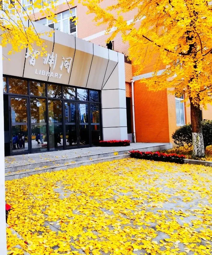 职等你来！优质教师团队，高品质学校，七中实验教师招聘不容错过