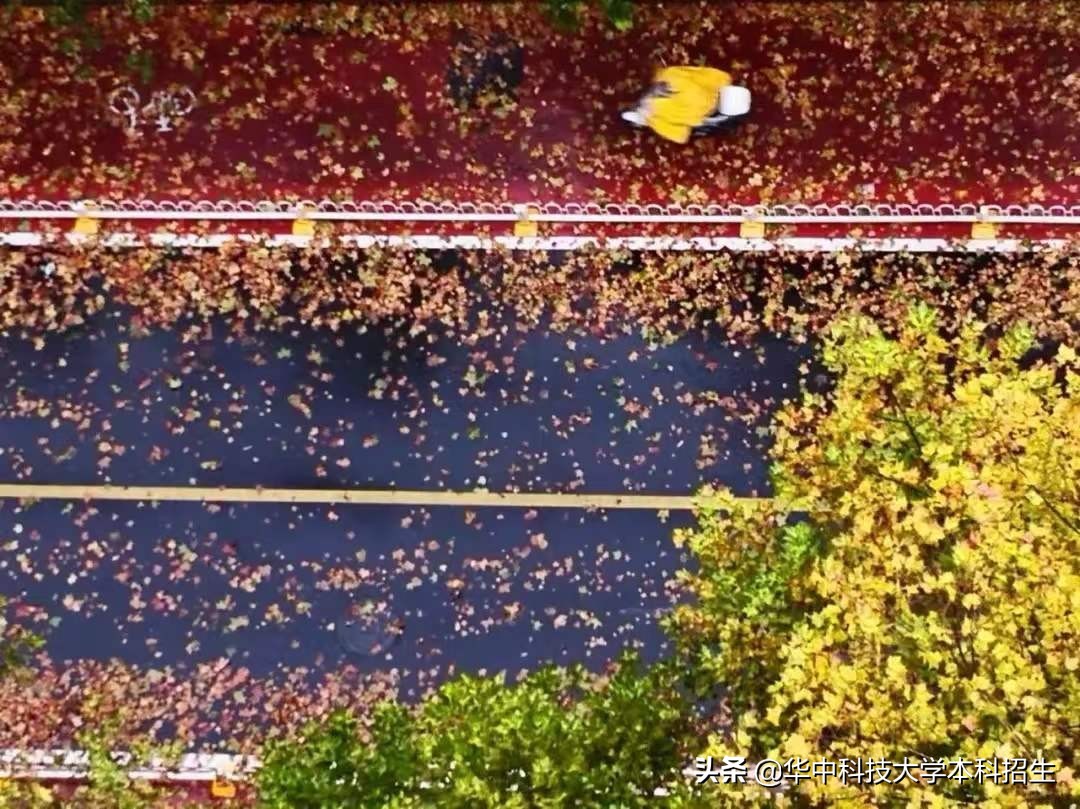 2022年，第一份“最强offer”诞生，来自华中科技大学！