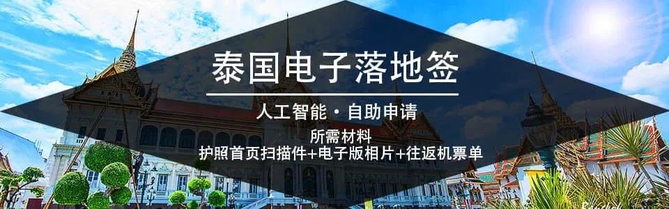 电子签证怎么办理,电子签证需要什么材料