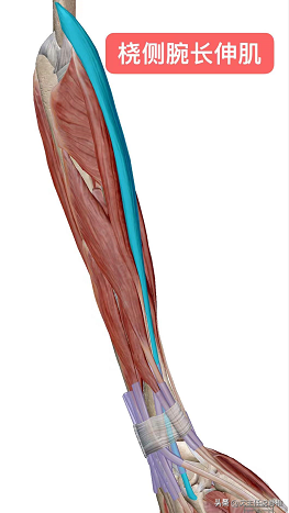 经常手腕疼痛、活动受限，是狭窄性腱鞘炎吗？该怎么办？