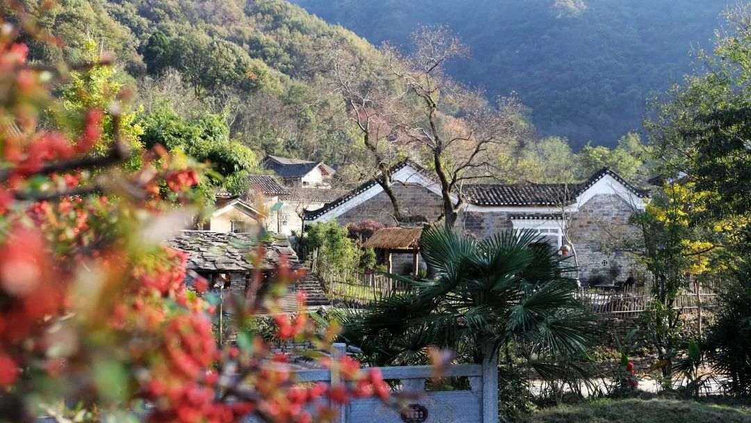 快乐不打烊！宜昌这些地方景美人少还免费！
