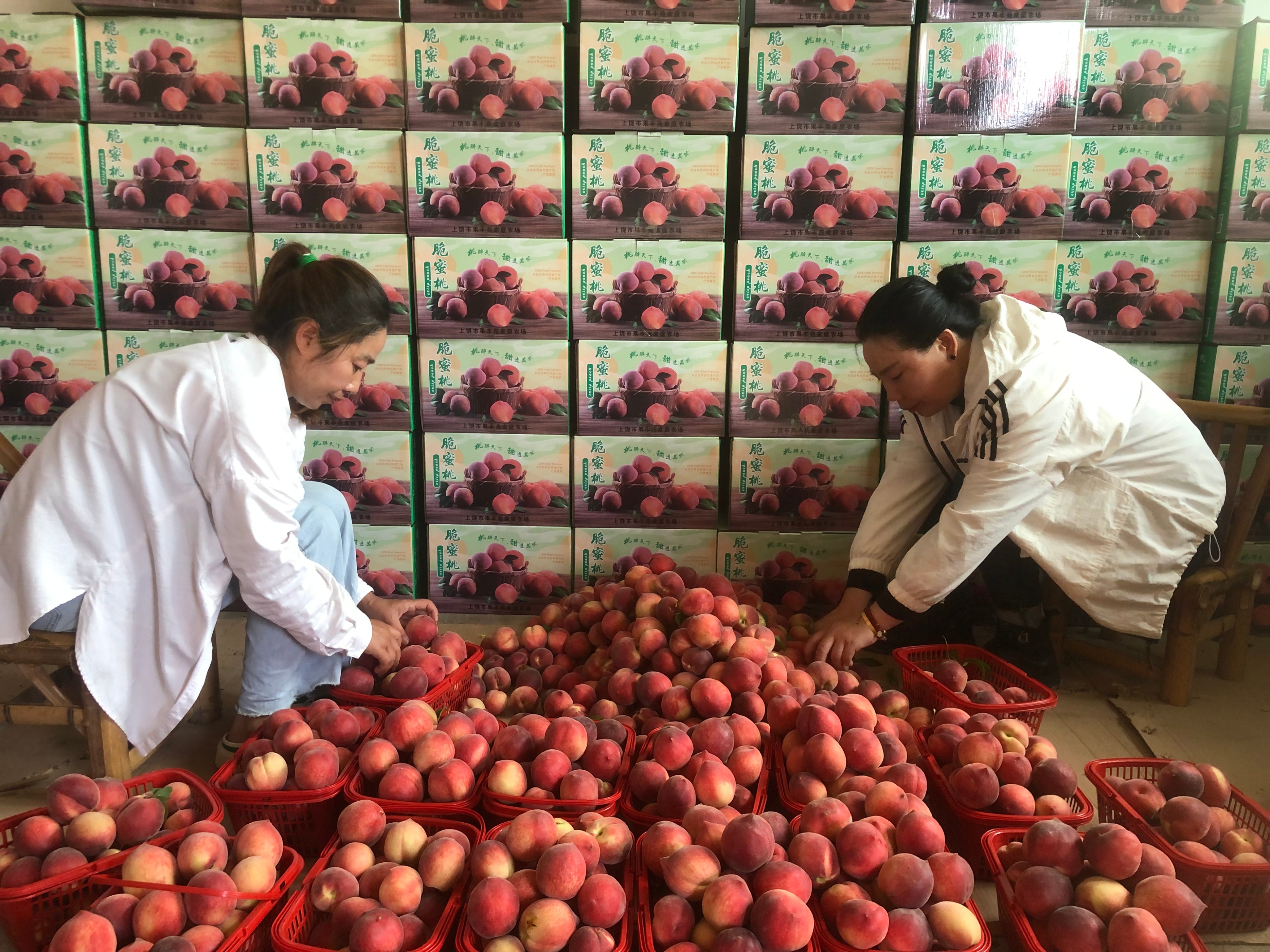 ��԰�ˣ�����ժ����