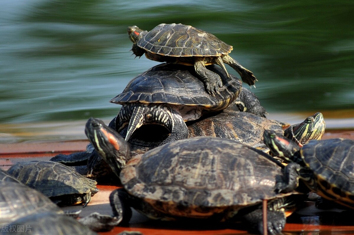 50个想要实现的心愿