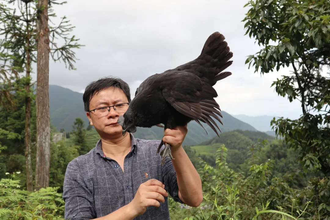大学生校鸡怎么找（放弃深圳公司高薪）