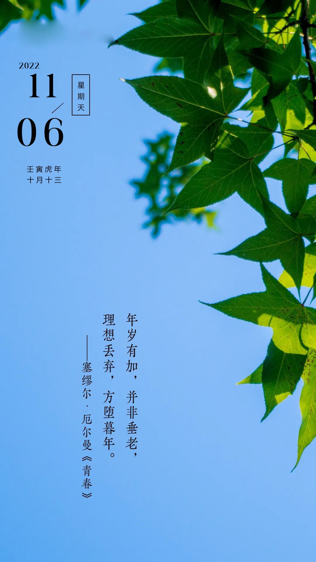 厄尔曼《青春》在晨曦中抖擞精神,在阳光下放飞心情,勇敢无畏!